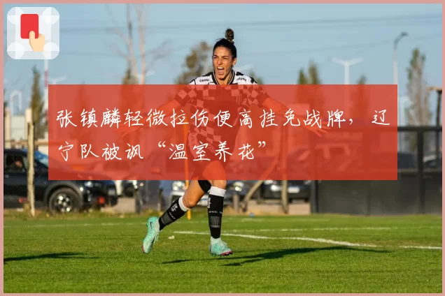 张镇麟轻微拉伤便高挂免战牌，辽宁队被讽“温室养花”