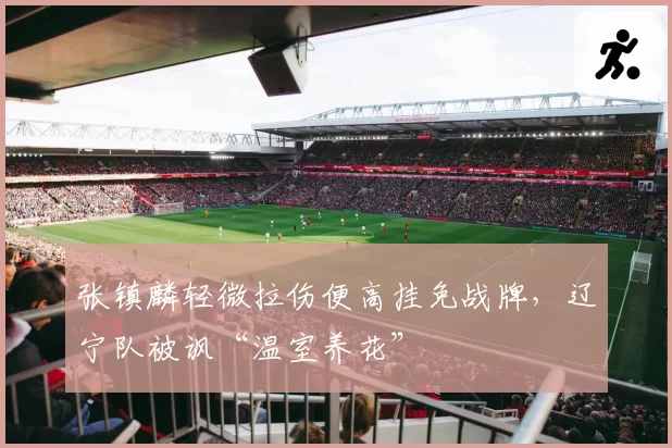 张镇麟轻微拉伤便高挂免战牌，辽宁队被讽“温室养花”