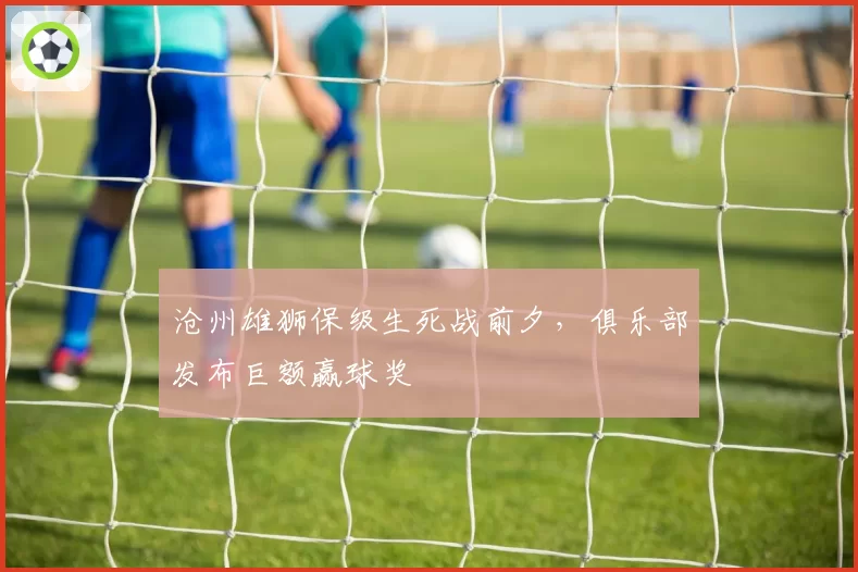 沧州雄狮保级生死战前夕，俱乐部发布巨额赢球奖