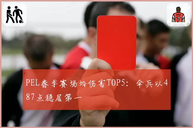 PEL春季赛场均伤害TOP5：伞兵以487点稳居第一