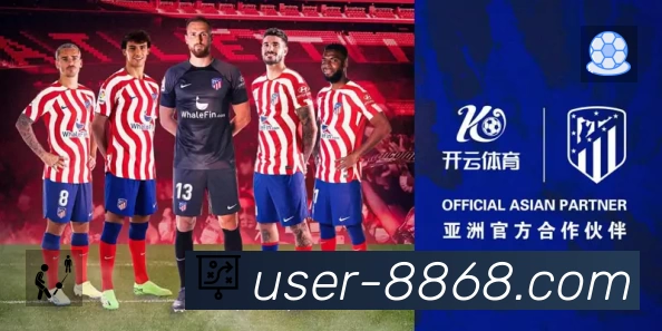 结构优化认证展示